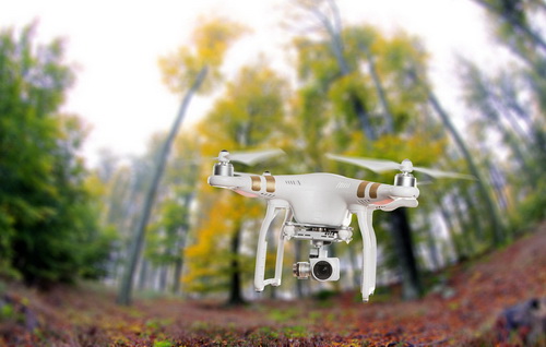 航拍无人机应用方向-森林资源调查
